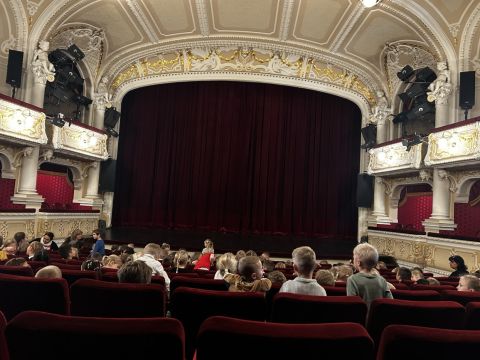 galleries/17018/divadlo-mlada-boleslav-zlatovlaska/img-4178