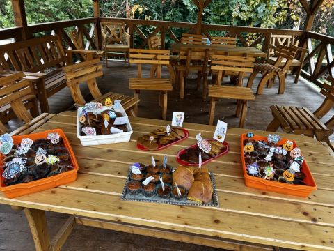 galleries/17018/halloween-2/img-3398