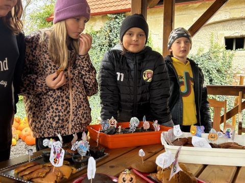 galleries/17018/halloween-2/img-3406