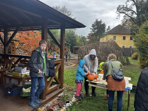 galleries/17018/halloween-2/img-3431