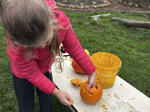 galleries/17018/halloween-2/img-3436