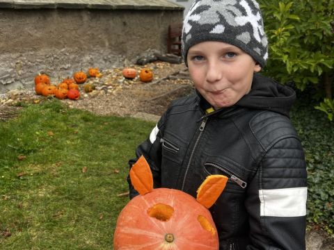 galleries/17018/halloween-2/img-3448