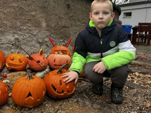 galleries/17018/halloween-2/img-3468