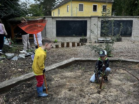 galleries/17018/uklidme-cesko-4/img-2572