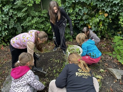 galleries/17018/uklidme-cesko-4/img-2573