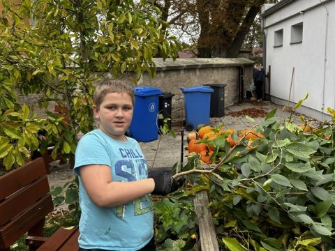 galleries/17018/uklidme-cesko-4/img-2576