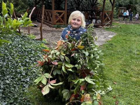 galleries/17018/uklidme-cesko-4/img-2577