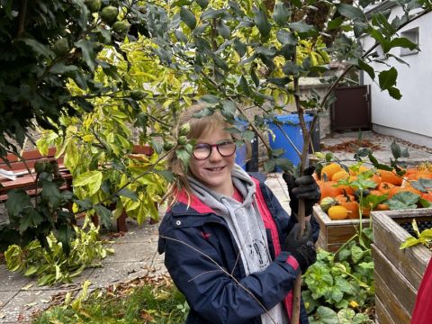 galleries/17018/uklidme-cesko-4/img-2580