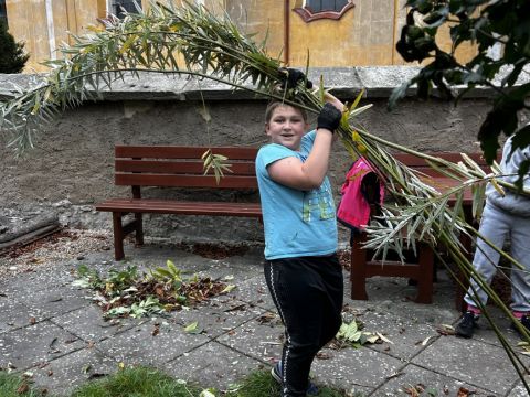 galleries/17018/uklidme-cesko-4/img-2581