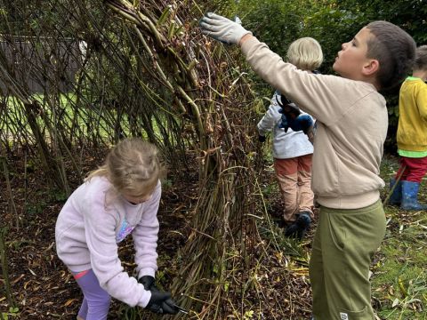 galleries/17018/uklidme-cesko-4/img-2585