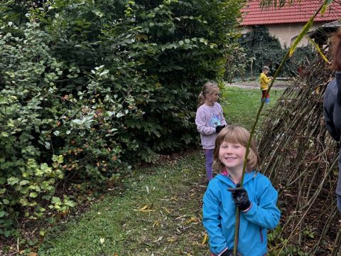 galleries/17018/uklidme-cesko-4/img-2591