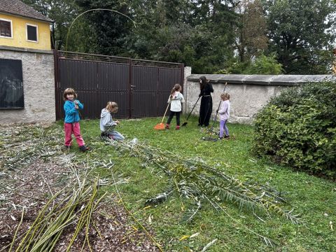 galleries/17018/uklidme-cesko-4/img-2594