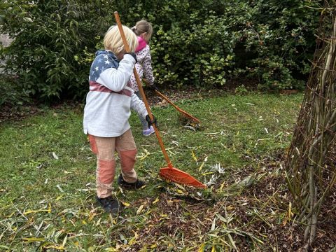 galleries/17018/uklidme-cesko-4/img-2596