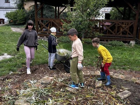 galleries/17018/uklidme-cesko-4/img-2598