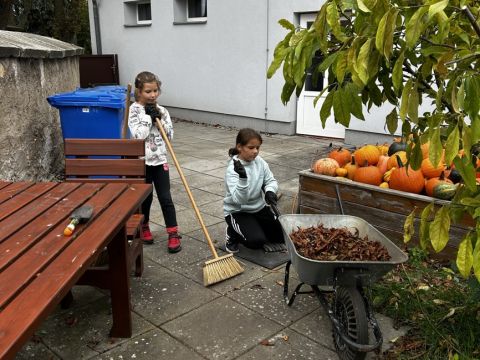 galleries/17018/uklidme-cesko-4/img-2600