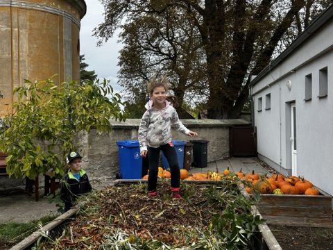 galleries/17018/uklidme-cesko-4/img-2601