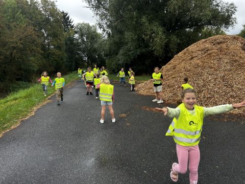 galleries/17018/zari-1/img-1875