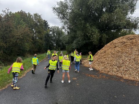 galleries/17018/zari-1/img-1876