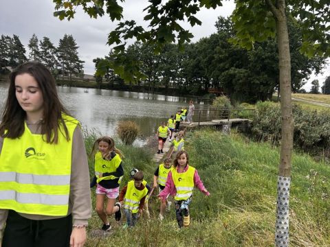 galleries/17018/zari-1/img-1877