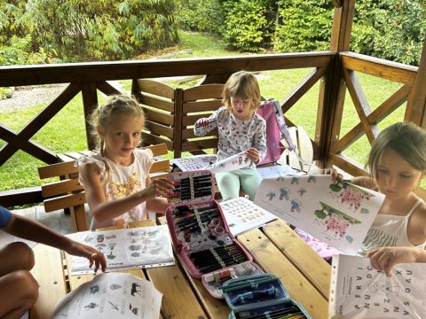 galleries/17018/zari-1/img-2012