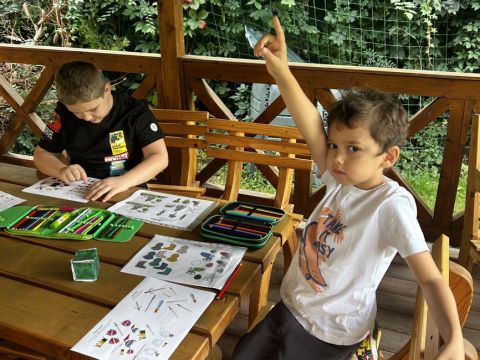 galleries/17018/zari-1/img-2013