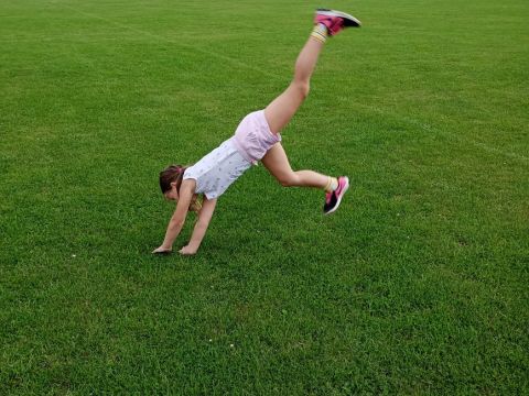 galleries/17018/zari-1/img-20250908-141209