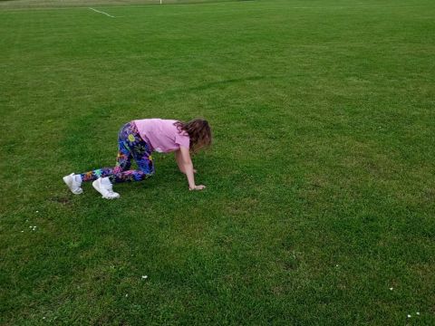 galleries/17018/zari-1/img-20250908-141222