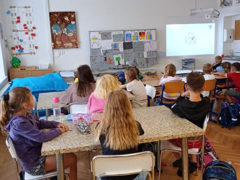 galleries/17018/zari-1/img-20250910-132550