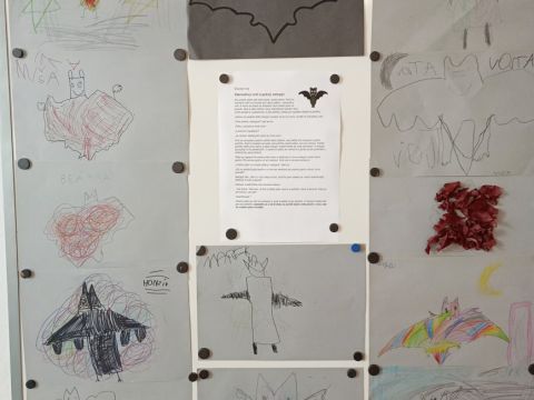 galleries/17018/zari-1/img-20250912-085453