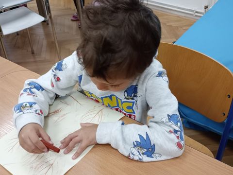 galleries/17018/zari-1/img-20250915-112116