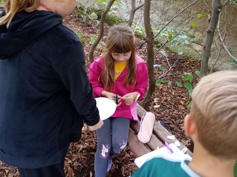 galleries/17018/zari-1/img-20250917-141818