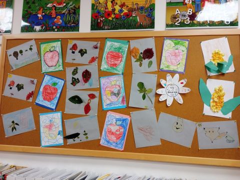 galleries/17018/zari-1/img-20250918-065003