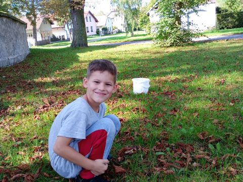 galleries/17018/zari-1/img-20250919-140052