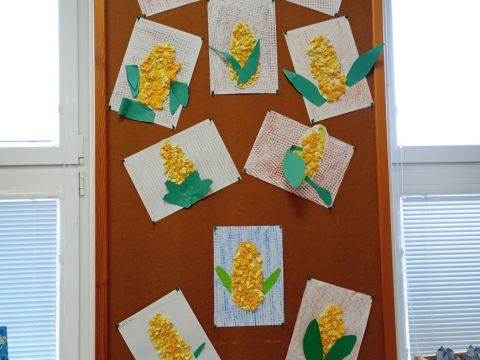 galleries/17018/zari-1/img-20250926-143247