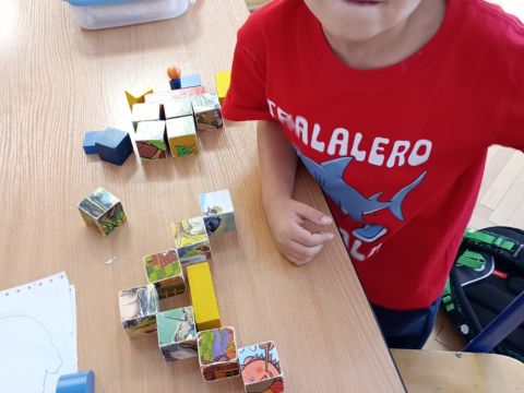 galleries/17018/zari-1/img-20250930-140857