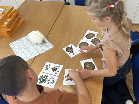 galleries/17018/zari-1/img-2398